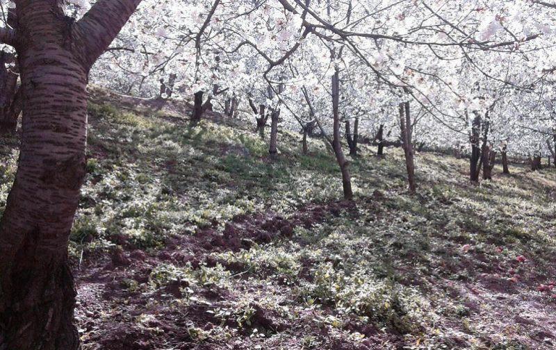 دره ناصر آباد تهران استان تهران, تهران-05tIWCWLhq