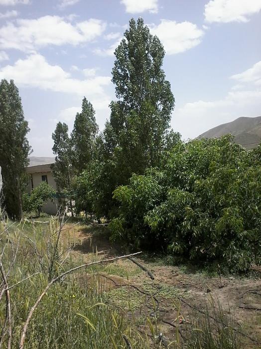 روستاهای كامیاران ( معرفی ۱۶۳ روستای كامیاران )-0C2ufs1OaB