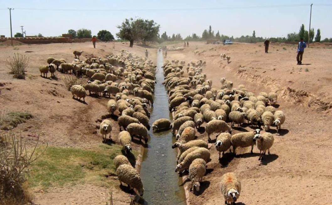 قنات مزدآباد میمه-0Dibnez6bz