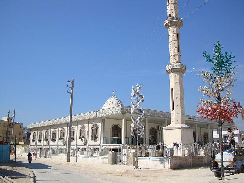 شهر نخل تقی-0GhMUzqF8m