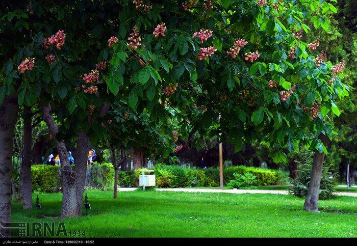 باغ ارم شیراز با رُزها و سرونازهای جهانی-0HVmF4IprU