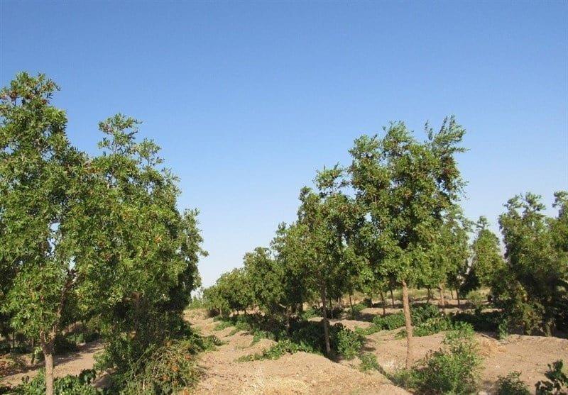 روستای سیوجان-0IRbV3HQuo