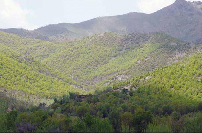 روستای گراوه-0Ncumy0zAX