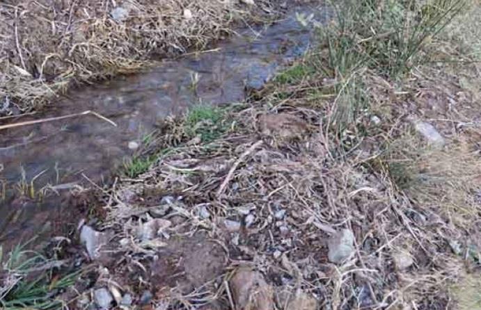 روستای ده لؤلؤ-0R6vBLgqWX