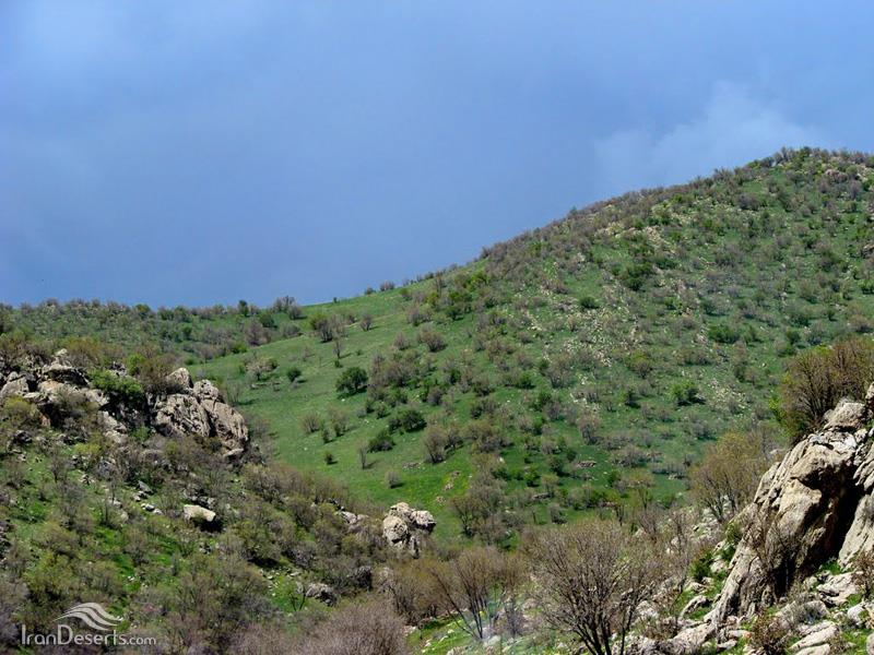 منطقه حفاظت شده كوسالان و شاهو-0So8FxGS1p