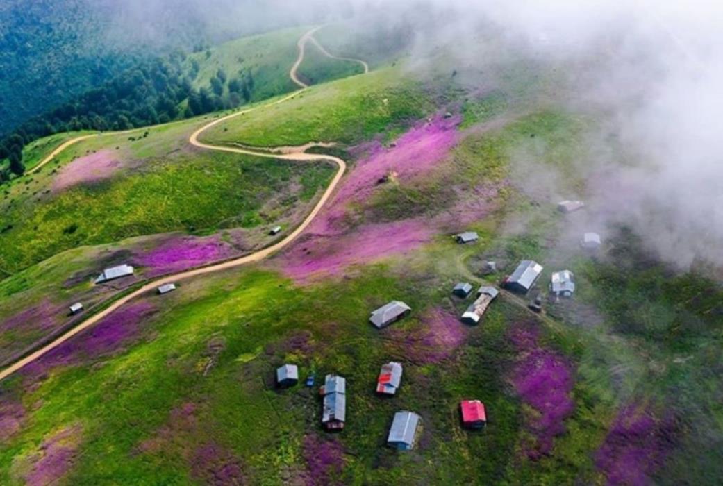 عكس های زیبا و رویایی از طبیعت شگفت انگیز ایران در فصل تابستان-0TBdh0gCEF