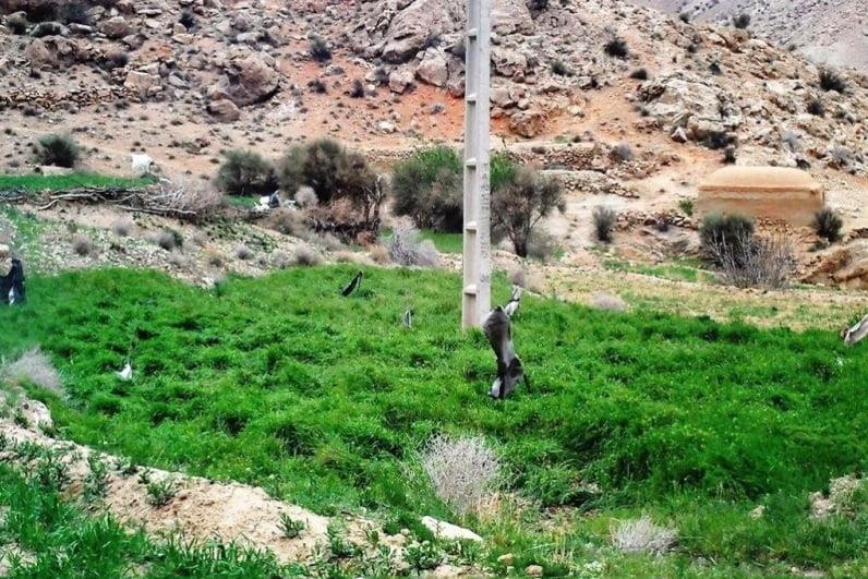 روستای خداآفرید-0Uw5vHvJtO