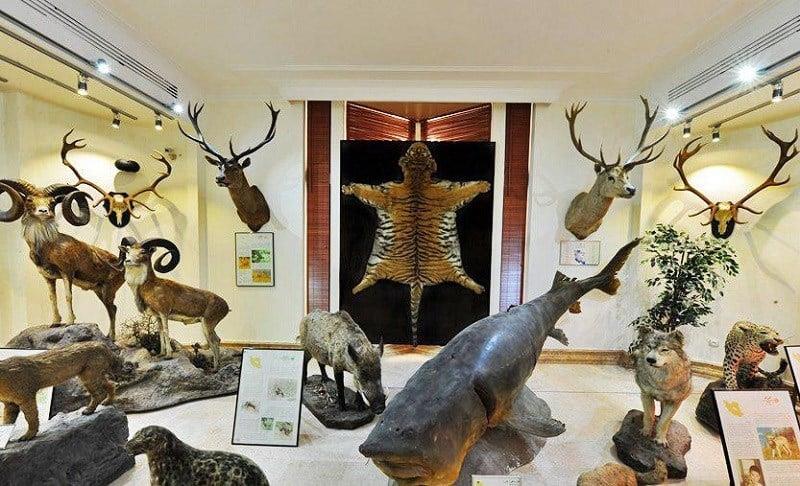 جاهای دیدنی تهران (۱۰۰ مكان گردشگری تهران با عكس و آدرس)-0X9KMaumiT