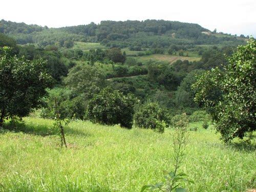 روستای واسكس و دیدنی های آن-0etflVQCna