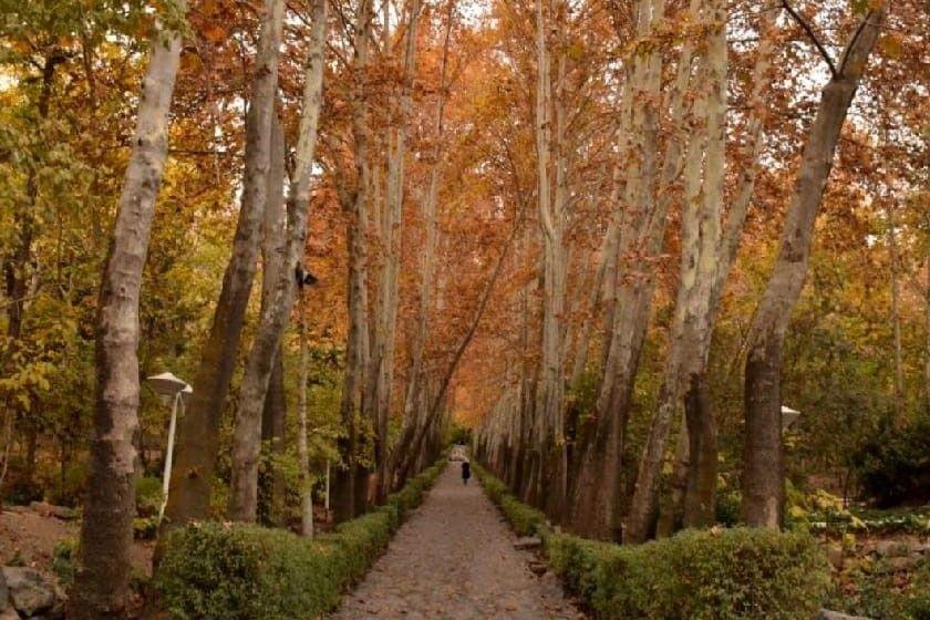 زیباترین پارك های تهران برای عكاسی و قدم زدن به انتخاب كجارو زیباترین پارك های تهران برای عكاسی و قدم زدن به انتخاب كجارو-0f2IhRwNdK