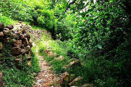 روستای آلاشت از جاذبه های طبیعی مازندران-0lsY24gPGA