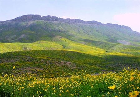 كهگیلویه و بویراحمد‌‌‌‌؛ تابلوی نقاشی ایران-0mO6cLgLML