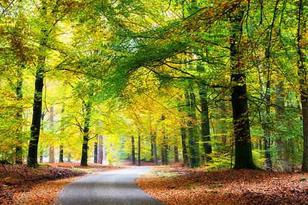 با زیباترین های هلند آشنا شوید-0o3O1F6Gsp