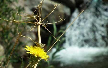 برگ جهان روستایی زیبا و دیدنی در تهران-0oCyCsXSPG