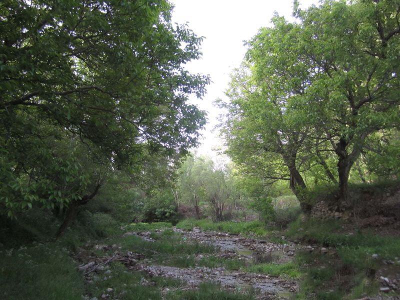 روستای كهنمو-0pIQKDcHRn