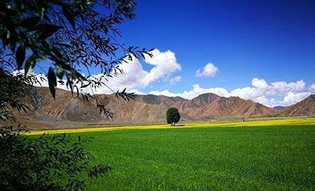 آسمان فیروزه ای تبت در غرب چین-0tAr4ytnbx