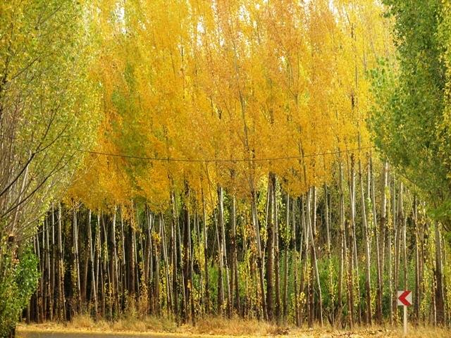 جاده توریستی سوكهریز-0vGRFgffNU