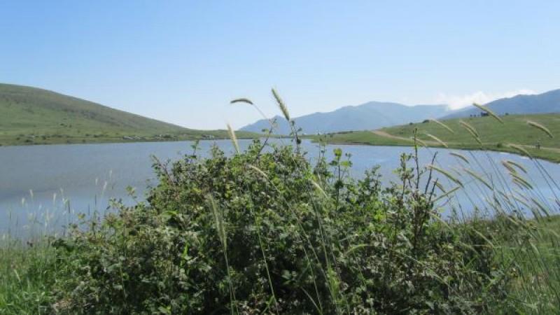 خولشكوه عمارلو-0wAIKrwHVf
