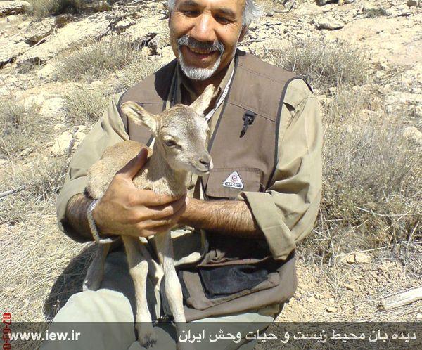 كبودان؛ بزرگترین جزیره دریاچه ارومیه-0wmfgN0CJo
