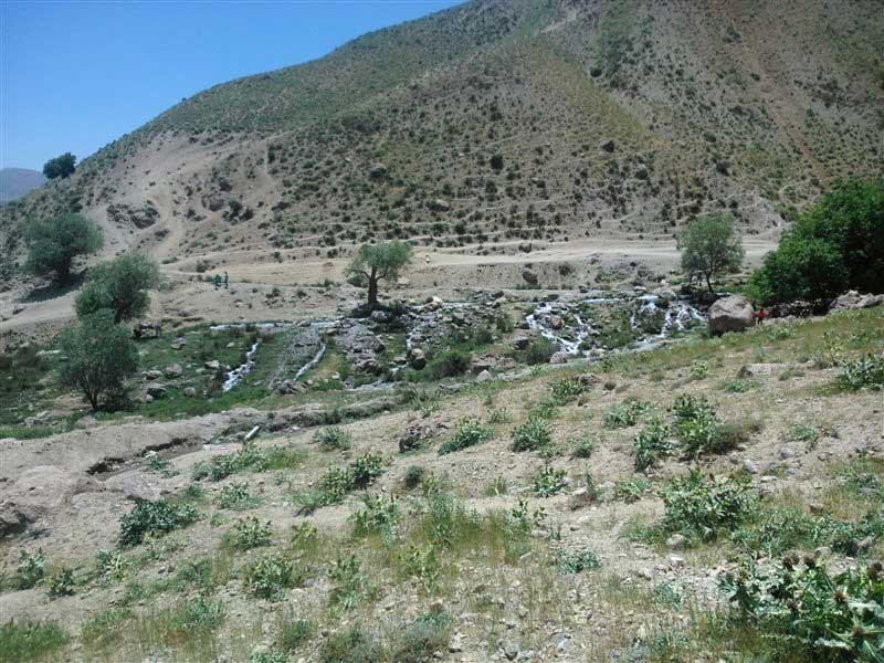 جاهای دیدنی بروجرد در بهار-18qWmJToIV