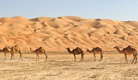 بیابان های زیبا و شگفت انگیز در جهان-191zwzORgF