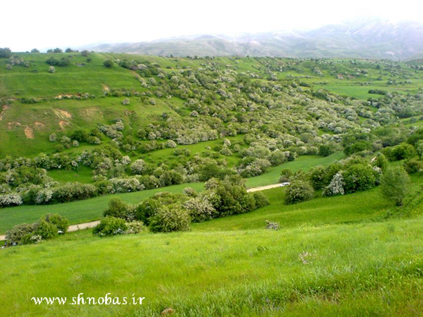 منطقه حفاظت شده میرآباد-1JZFhUdDYB