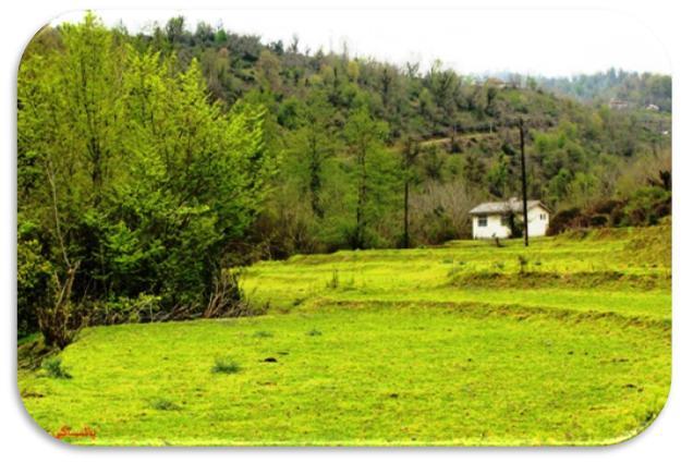 روستای ملك رود-1KpNACTtw3