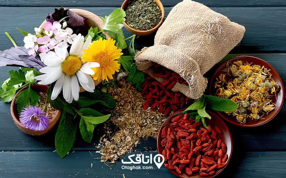 روستای فوجرد تفرش-1MDl4VJ8xG