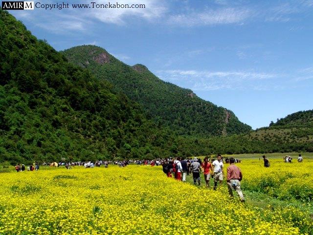 دشت دریاسر ( بهشت اردیبهشت ایران )-1cpB2sLGmG