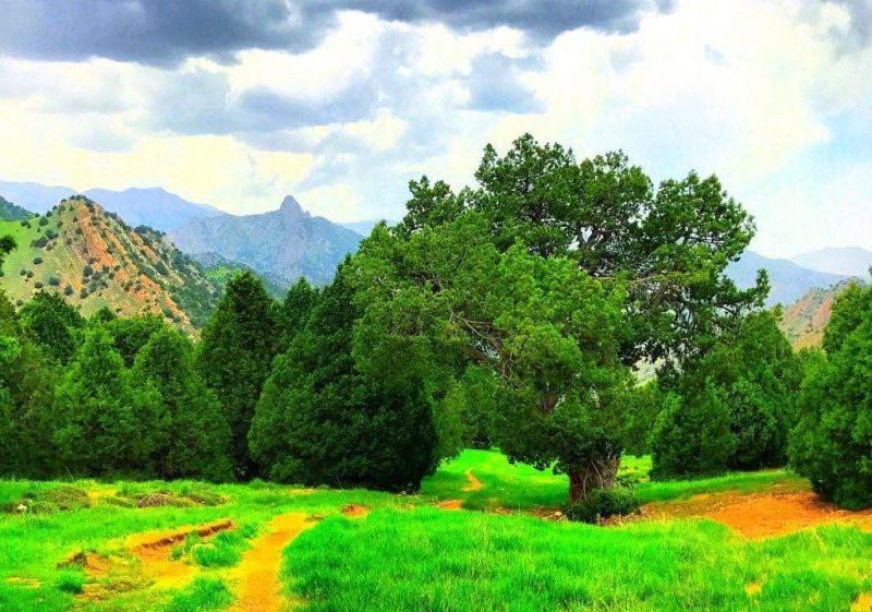 روستای لایین كهنه-1ewiz9yRWI