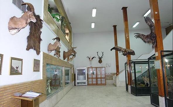 ۲۰ جای دیدنی زنجان در تابستان-1fcJIpoWeL