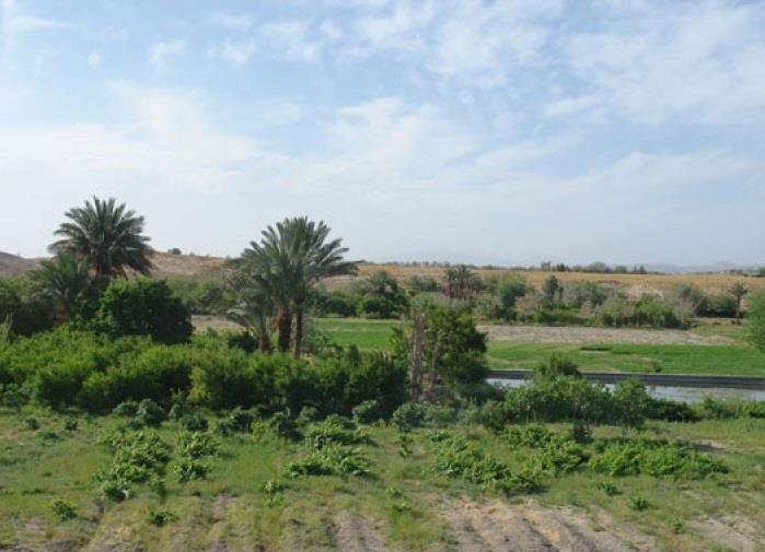 روستای لادیز-1gn0wJt1zZ