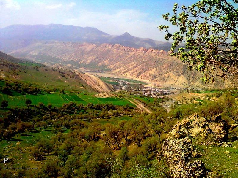 روستای چنار-1jsvWs5Kgr