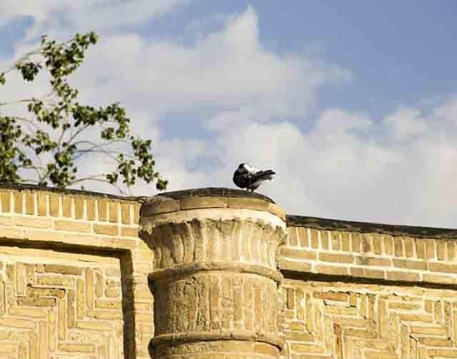 سرای كلبعلی زنجان-1l9LGoAsbh