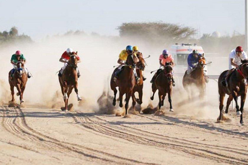 باشگاه سواركاری كلهر-1oftbXsF7e