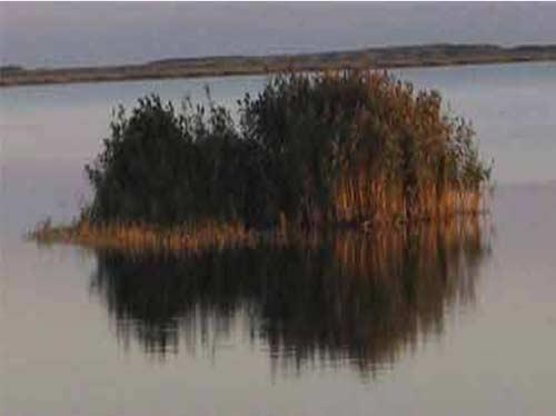 تالاب آلاگل-25h5R2rs9h