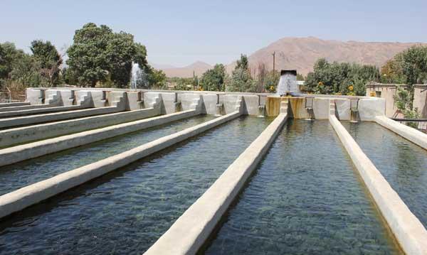 روستای قمچقای بیجار با ۳۴ استخر پرورش ماهی-27FsUeUklt