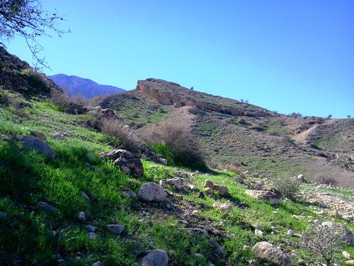 قلعه گبری جهرم-2AFUBRihg3