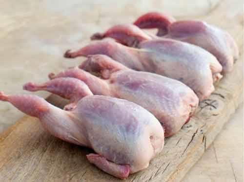 طرز تهیه بلدرچین به روشهای مختلف-2Rvj8dEimj