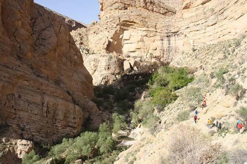 دره آكواریوم داراب-2Sjvvpckcm