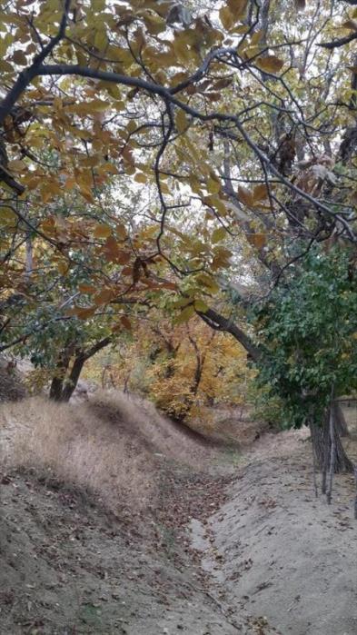 روستای دره صیدی-2T9w8uogjn