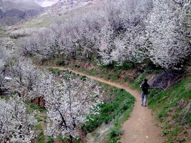 روستای سنگان سفلی-2UjLs9Bhfz