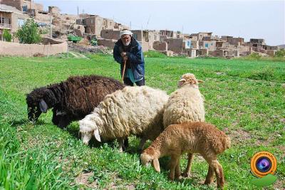 روستای باللوجه میرك-2VchA8bkkR