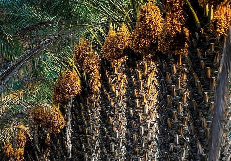 جاهای دیدنی آب پخش-2e5tcBdd80