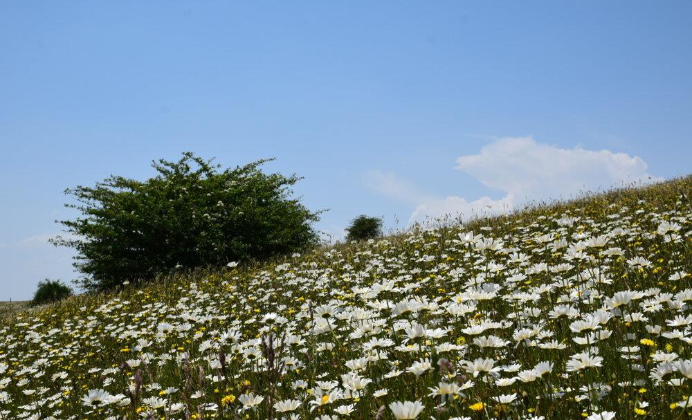 روستاهای نمین ( معرفی ۹۵ روستای نمین )-2kUNy1uZ0e