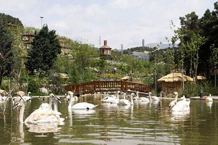 باغ های دیدنی تهران-2klHgkyspc