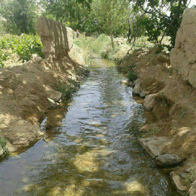 دهق-2waeZUtnrj