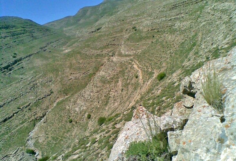 منطقه حفاظت شده قرچغه-2wwkj1chKF