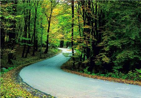 پارك جنگلی ناهار خوران (+تصاویر مناظر زیبای آن)-33gF32enO7