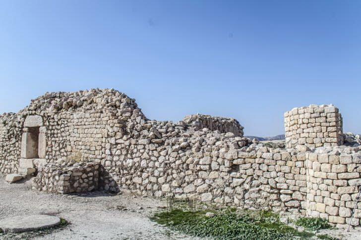 مدرسه ساسانی بیشاپور-367ARFGrpQ